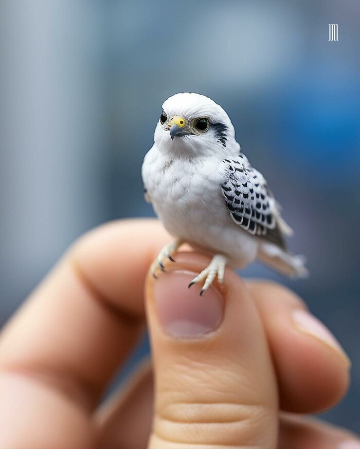 This Artist Specializes In Creating Tiny Animal Portraits, And Here’s Some Of His Work (30 New Pics)