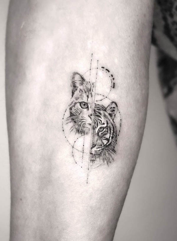 Cat and tiger tattoo by @torocsik_daniel