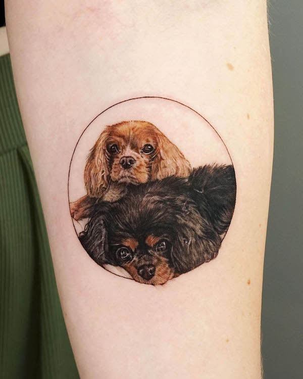 Cavalier King Charles Spaniel tattoo by @victoria.tattoohk