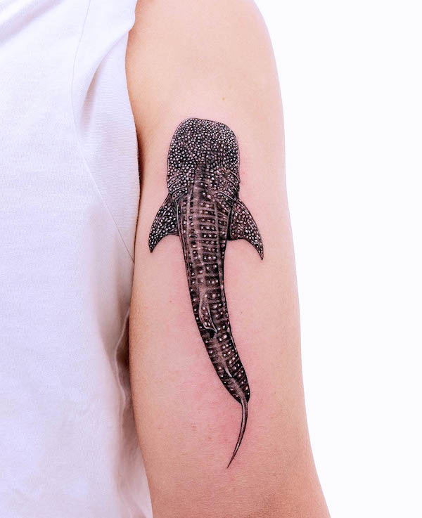 Detailed realistic whale shark tattoo by @lozzarachtattooer