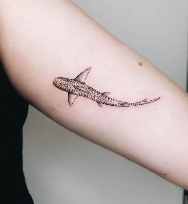 Fine-line tiger shark tattoo by @hailey_blossom