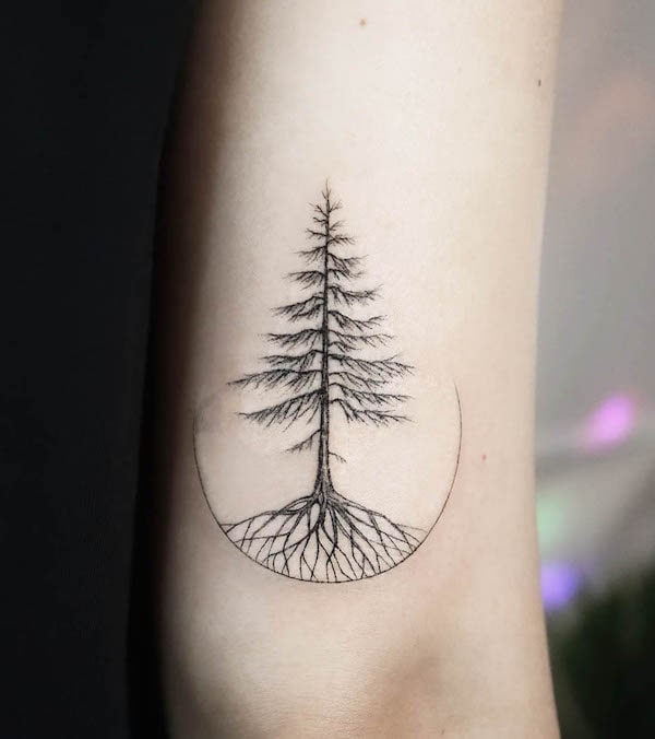 Pine tree tattoo above elbow by @tattooist_namoo