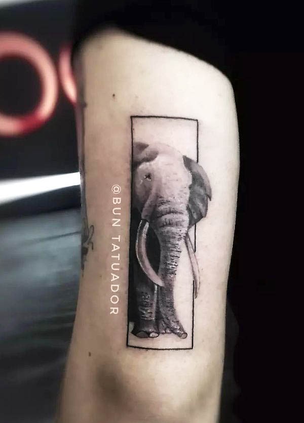 Realism elephant arm tattoo by @buntatuador