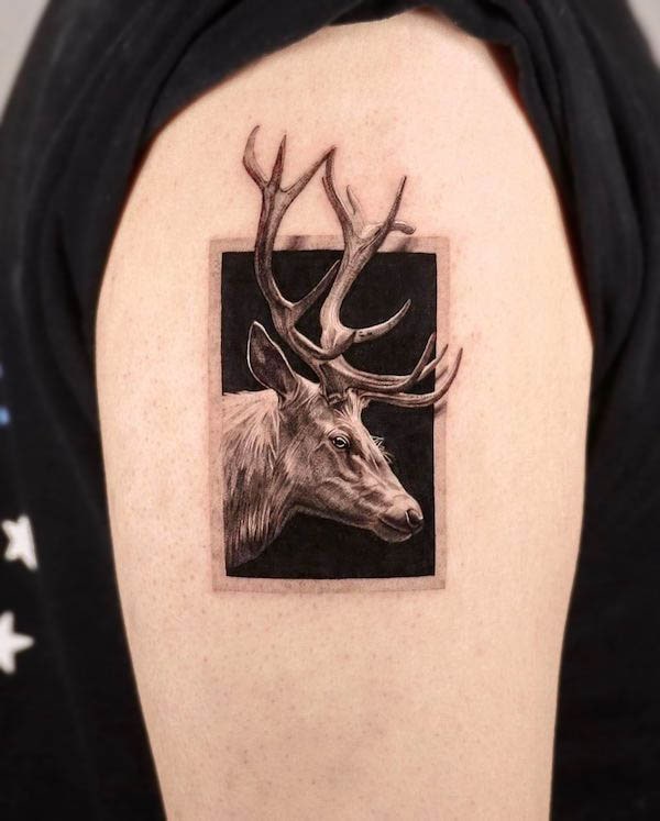 Realistic deer frame tattoo by @_vantablacktattoo