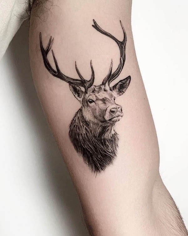 Realistic moose head tattoo by @kerem.g.tatt