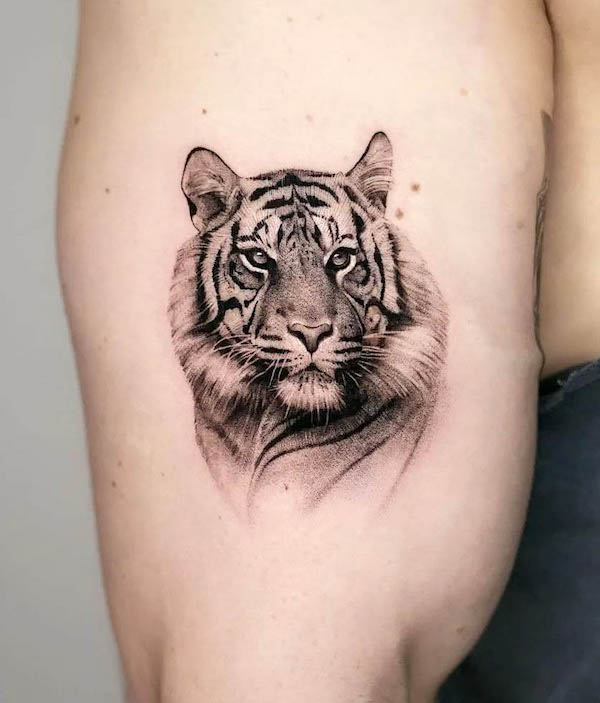 Realistic tiger tattoo by @thommesen_ink