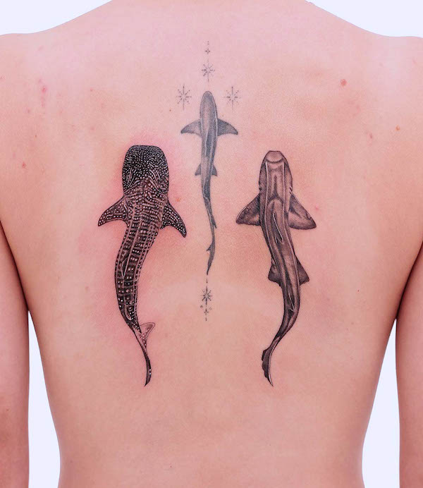 Sharks back tattoo by @lozzarachtattooer