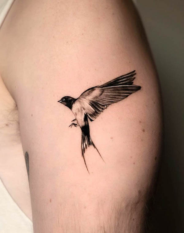 Simple realistic swallow arm tattoo by @antinktattoo