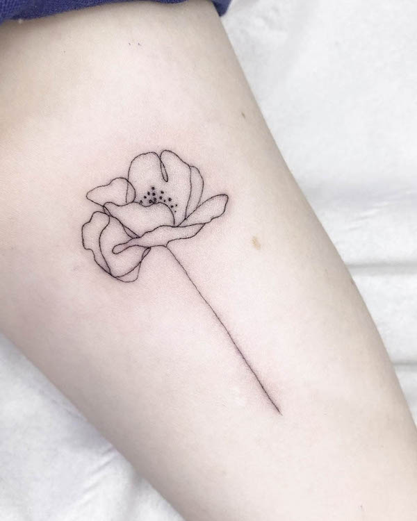 Single-line poppy tattoo by @tess_divine_ink