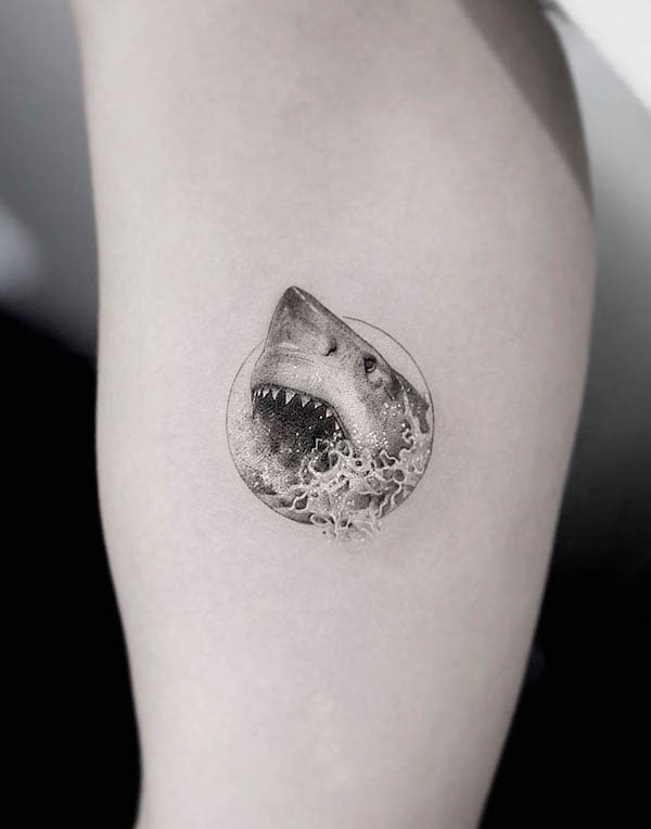 Small head of the shark tattoo by @drag_ink