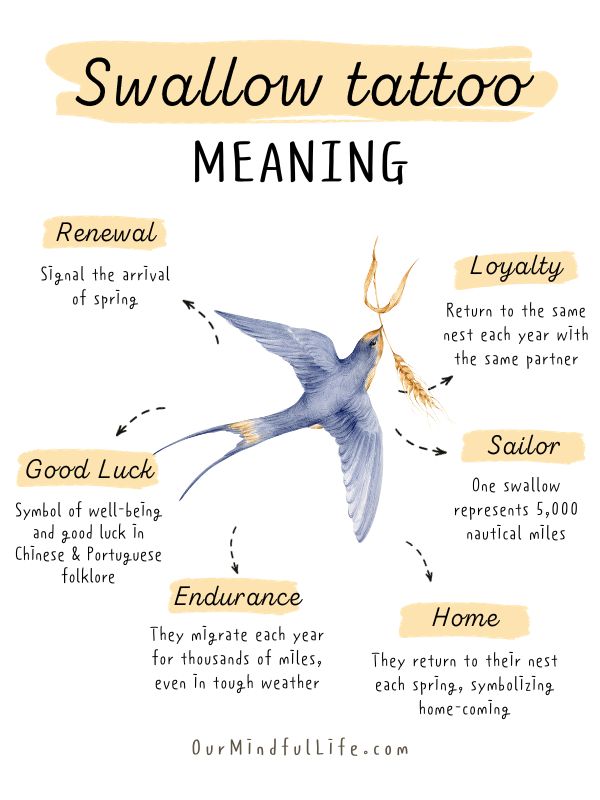 Swallow tattoos meaning