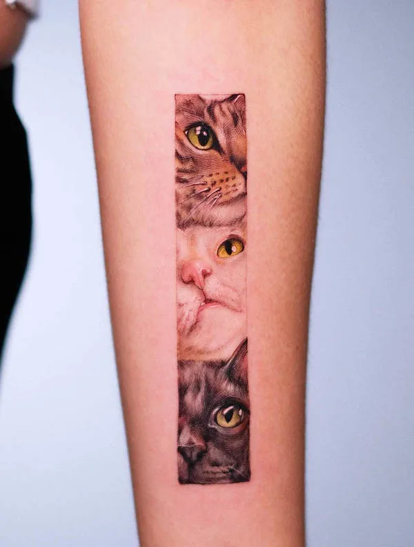 Three cats forearm tattoo by @andreeconejo