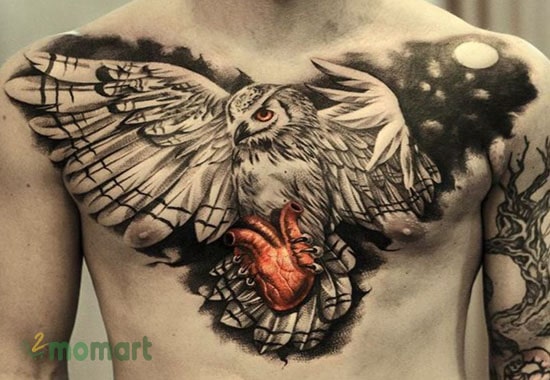 Tattoo cú mèo kín ngực mang nét hung tàn và kiêu hãnh