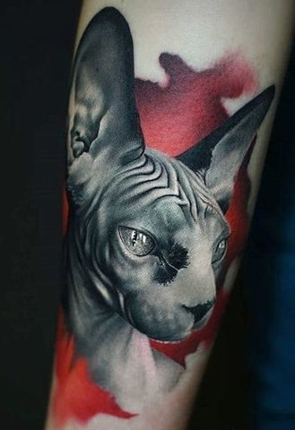 """"""Sphynx"""""