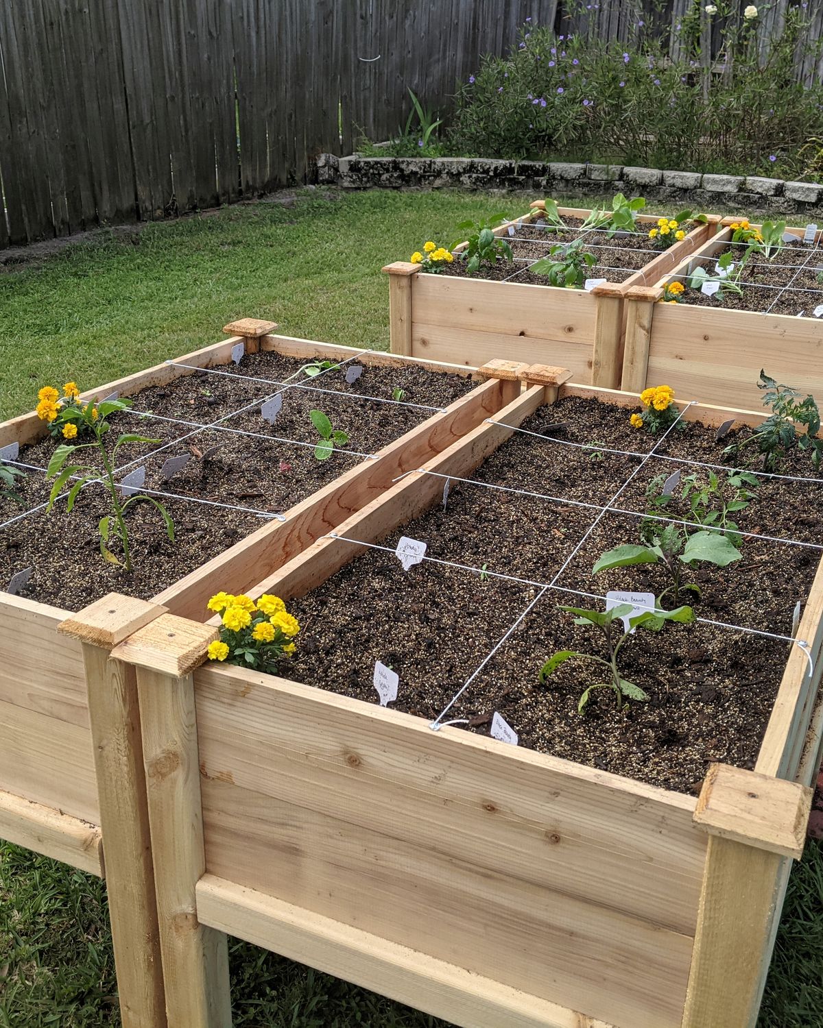 raised garden bed ideas