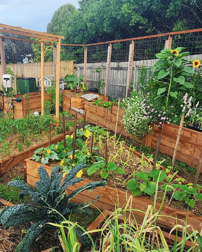 a garden with a fence