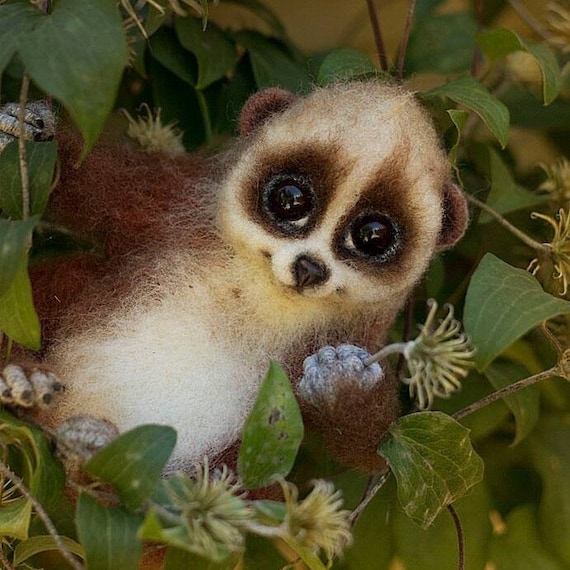 Needle Felted Slow Loris Cute Pygmy Slow Loris Realistic Poseable Toy Loris Fluffy Brown Primate Figurine OOAK Little Felted Tropical Animal - Etsy Australia