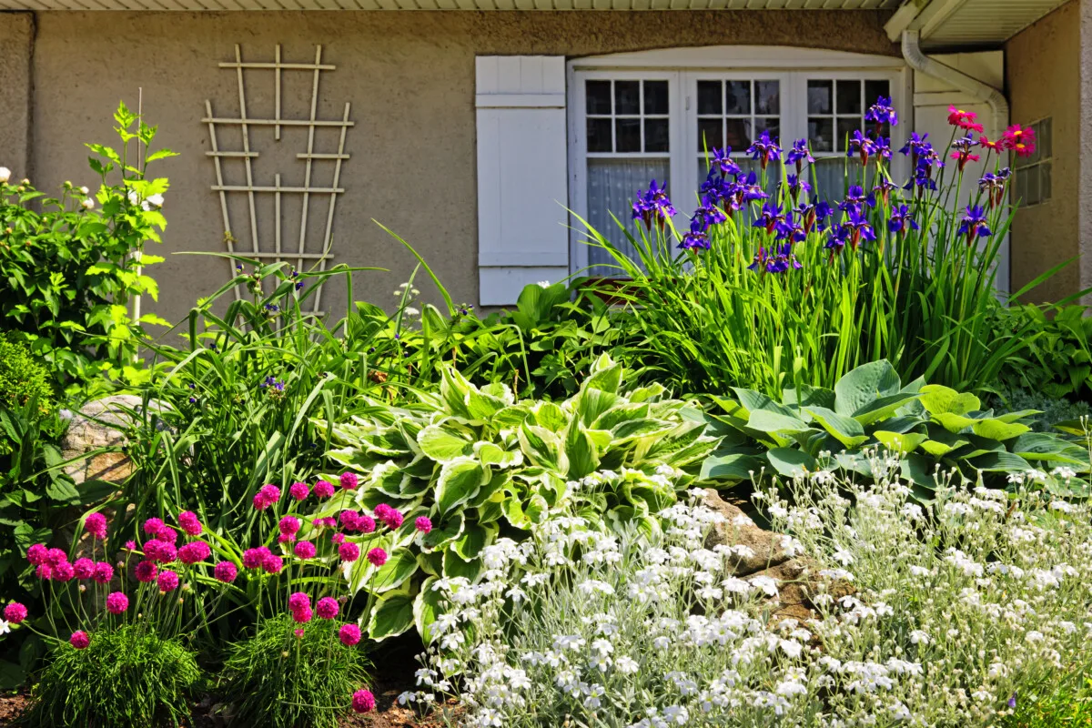 perennial garden