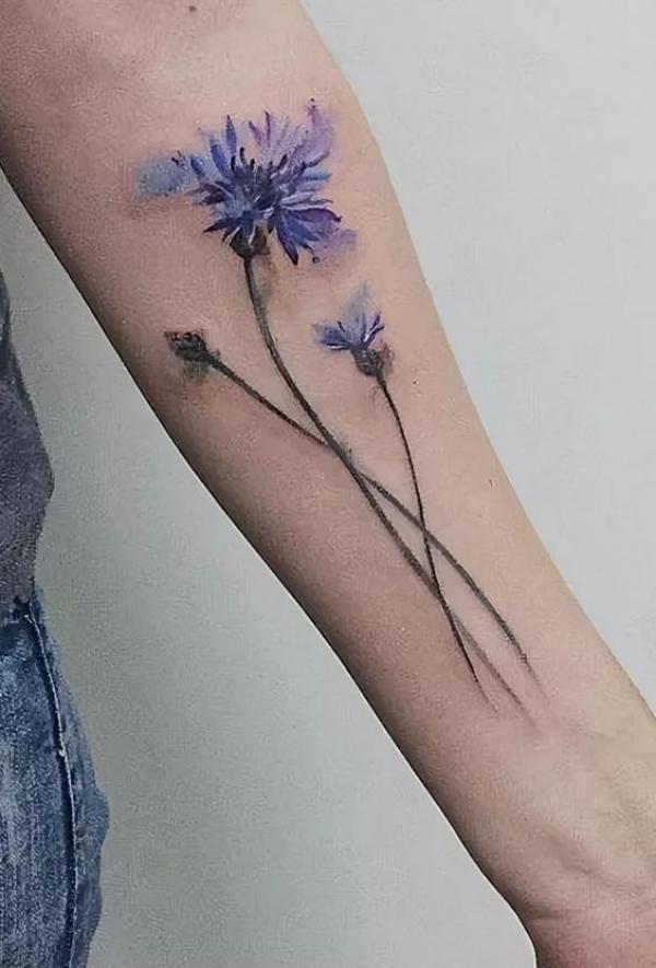 Watercolor cornflower forearm tattoo